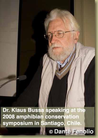 Busse