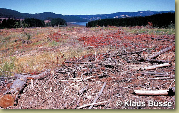 habitat loss